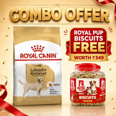 Royal Canin Labrador Retriever Adult Dog Food + FREE Royal Pup Real Chicken Biscuits Worth ₹349 | Combo Offer