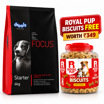 Drools Focus Starter Super Premium Puppy Food 4KG | All Breed | 3 Weeks–3 Months | Real Chicken | No Corn, Wheat & Soya + FREE Royal Pup Biscuits Worth ₹349