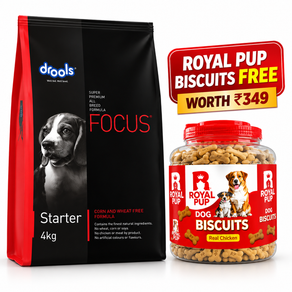Drools Focus Starter Super Premium Puppy Food 4KG | All Breed | 3 Weeks–3 Months | Real Chicken | No Corn, Wheat & Soya + FREE Royal Pup Biscuits Worth ₹349