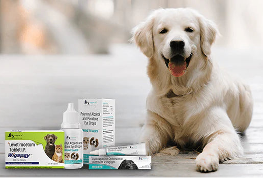 Prescription Diet - Royal Pet Mart