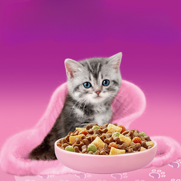 Kitten's Food