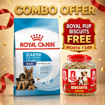 Royal Canin Maxi Starter Mother & Babydog Large Breed Puppy Food + Royal Pup Biscuits FREE Worth ₹349 | Combo Offer