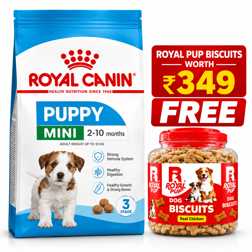 Royal Canin Mini Puppy Dry Dog Food 2–10 Months + Royal Pup Biscuits FREE Worth ₹349 | Combo Offer