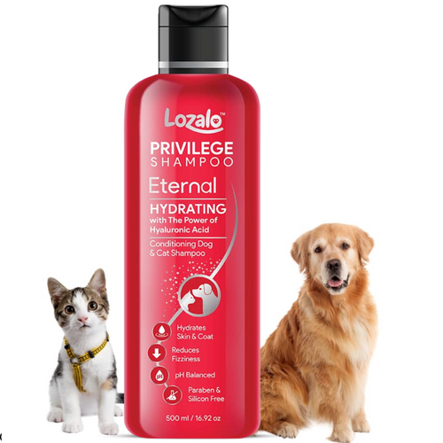 Lozalo Privilege Eternal Conditioning Shampoo For Dogs & Cats