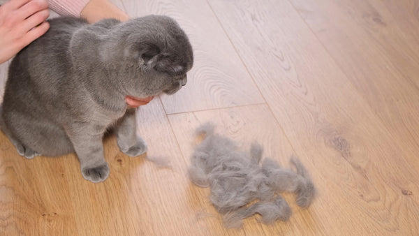Hairfall