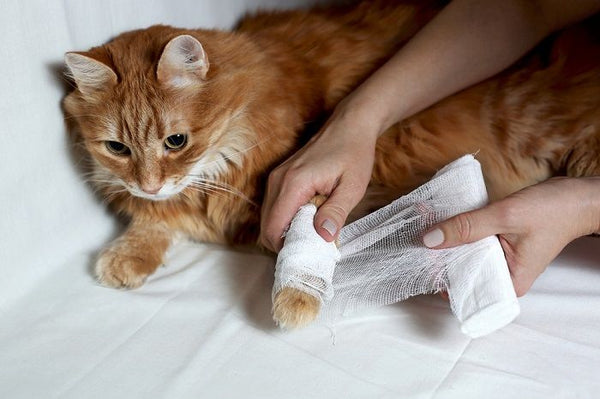 Wound care