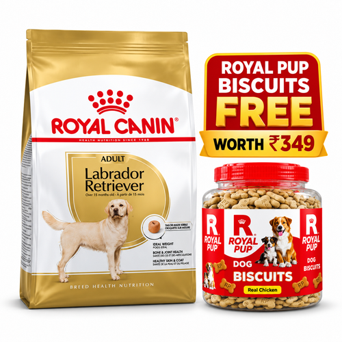 Royal Canin Labrador Retriever Adult Dog Food + FREE Royal Pup Real Chicken Biscuits Worth ₹349 | Combo Offer