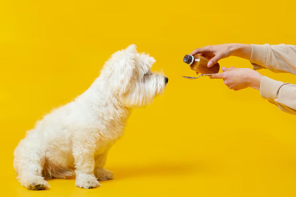 Healthy Paws