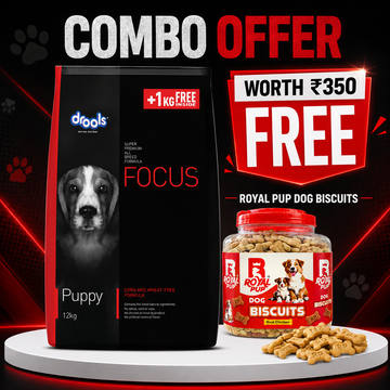 Drools Focus Puppy Dog Food 12kg + 1kg Free + FREE Royal Pup Real Chicken Dog Biscuits (Worth ₹350) | Super Premium Puppy Combo Offer