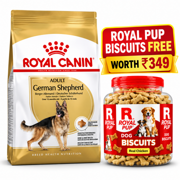 Royal Canin German Shepherd Adult Dog Food + FREE Royal Pup Real Chicken Biscuits Worth ₹349 | Combo Offer