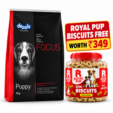 Drools Focus Puppy Super Premium Dog Food 4KG | All Breed Puppy Food | Real Chicken | No Corn, Wheat & Soya + FREE Royal Pup Biscuits Worth ₹349