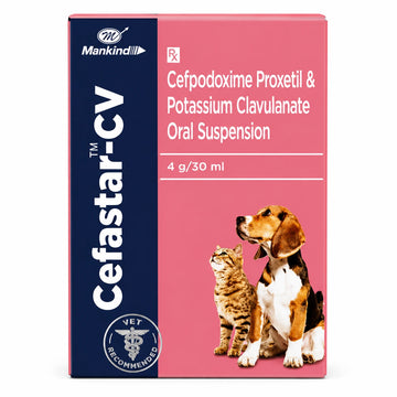 Cefastar-CV Oral Suspension for Dogs & Cats | Cefpodoxime Proxetil & Potassium Clavulanate Veterinary Antibiotic