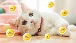 Vitamin & Suppliment