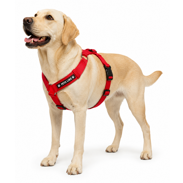 Pet’s Like L Size Dog Harness | Adjustable Heavy Duty Harness for Large Dogs