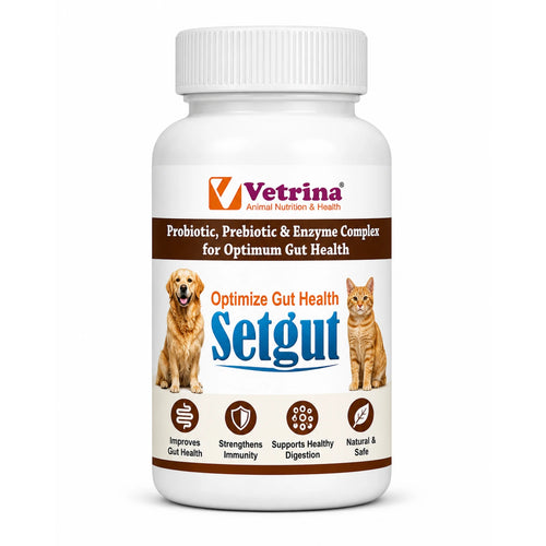 Vetrina Setgut Gut Health Supplement for Dogs & Cats | Probiotic, Prebiotic & Enzyme Complex Powder | Digestive & Immunity Support