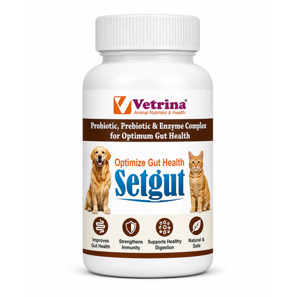 Vetrina Setgut Gut Health Supplement for Dogs & Cats | Probiotic, Prebiotic & Enzyme Complex Powder | Digestive & Immunity Support