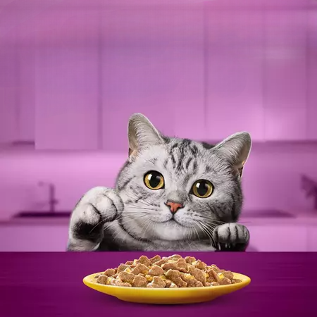 Premium Food